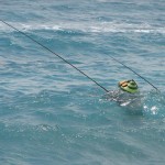 Pêcheurs dans les vagues