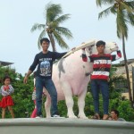 20150201-fameux taureau qui vaut une fortune sculpture Makassar