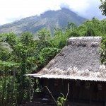 20150215-village Bena, Flores