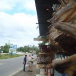 20150202-poissons salés séchés Sulawesi