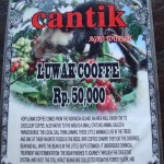 20150210-06 Café Luwak explication à Cantik