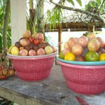 20150210-08 fruits en Indonésie, Bali