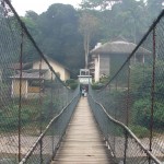 EcoLodge : le pont suspendu
