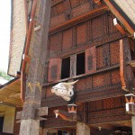 Village de maisons Toraja