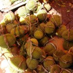 Durian: fruit qui pue énormément!