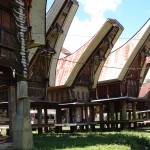 Village du cours de cuisine Toraja