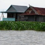 Maisons flottantes de pêcheurs parmi les jacinthes d'eau