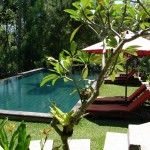 La piscine et le gazebo