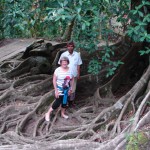 Dans les racines de Goa Gajah