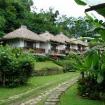 Les cottages de notre Eco Lodge à Moni