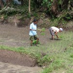 Travail du riz au village de Andrean