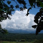 Paysage en face de la «maison» de Ferdinand