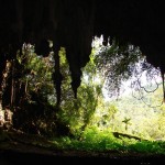 Caverne Liang Bua de «Flo»