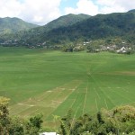 Les rizières en toile d'airaignée de Sawa Lodok