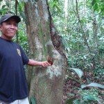 20150124-guide Sugar Bukit Lawang